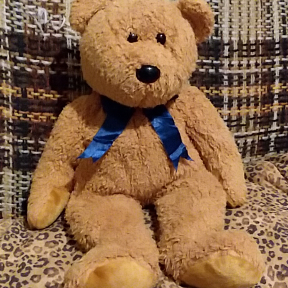 Plush TY Bear